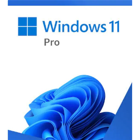 Microsoft Windows 11 PRO in USB 