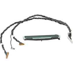 Zebra PRINTHEAD ZD420D/ZD620D 203DPI
