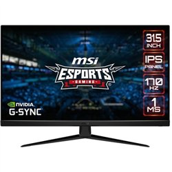 Flat 32in Gaming 2K 2560x1440 IPS WQHD/170Hz G-Sync Compatible Black