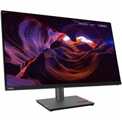 Lenovo P32P-30 31.5