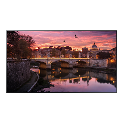 Samsung (QBC) Pro DISPLAY- 65