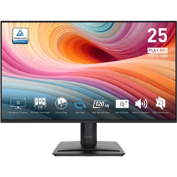 Black 24.5in/IPS/FHD/120Hz/1ms/DP HDMI VGA/Speakers/3Y