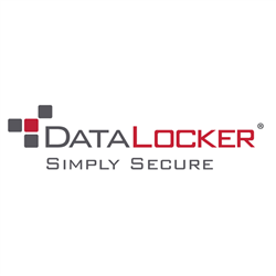 Datalocker ON-PREM Basic SAFECONSOLE LICENS RNW 1Y