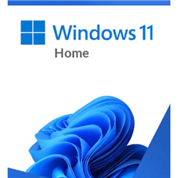 Microsoft Retail Windows 11 Home (64 BIT) - USB Box