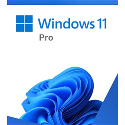 Microsoft Retail Windows 11 Pro (64 BIT) - USB Box