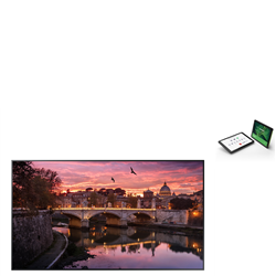Samsung (QBC) Pro DISPLAY- 65