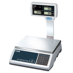 ER Plus Scale 30 Kg with Pole Display 