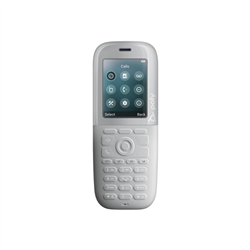 Hp POLY Rove 40 Rugged DECT IP Phone HANDSET-2.4
